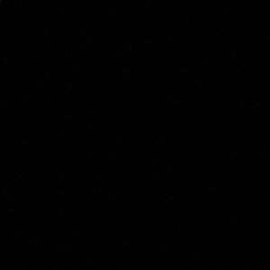 Meet your Posher, Jocelyn